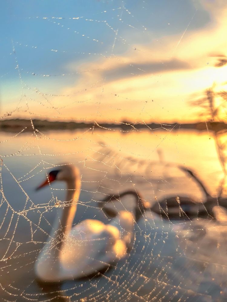 Photograph by Сергей Колос