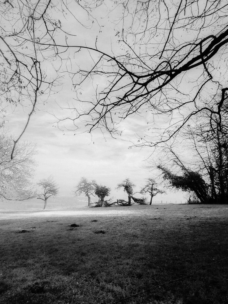 Photograph by Christophe Boch