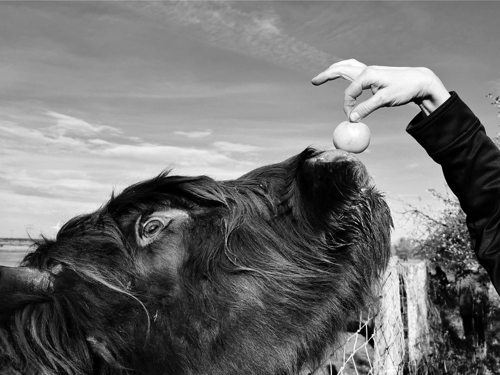 Photograph by Olga Weinberger