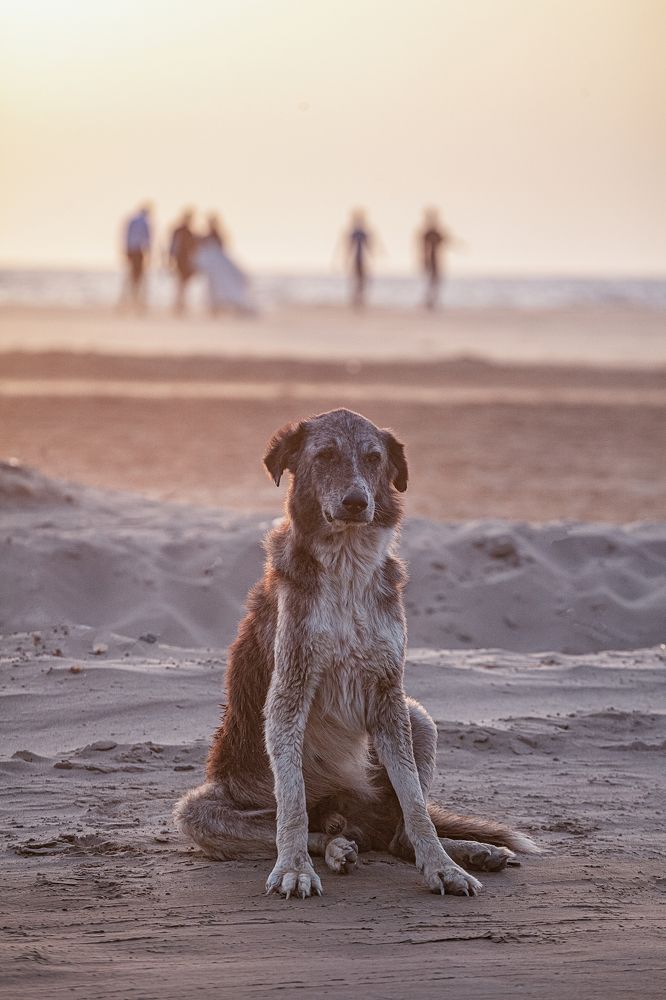 Photograph by Lutsiya Bulut