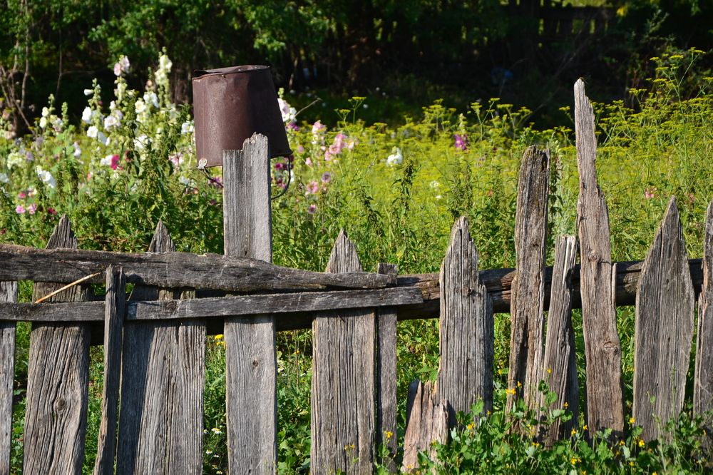 Photograph by Ирина Костарева