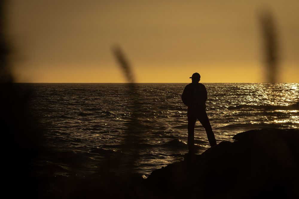 Photograph by Gerardo Morales