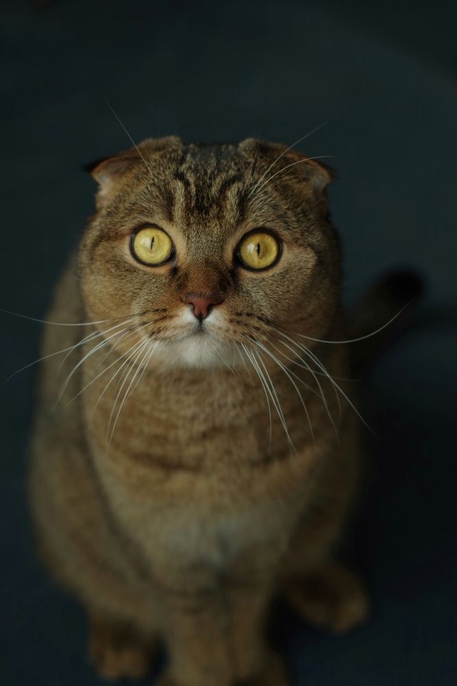 Photograph by Кристина Гончарь