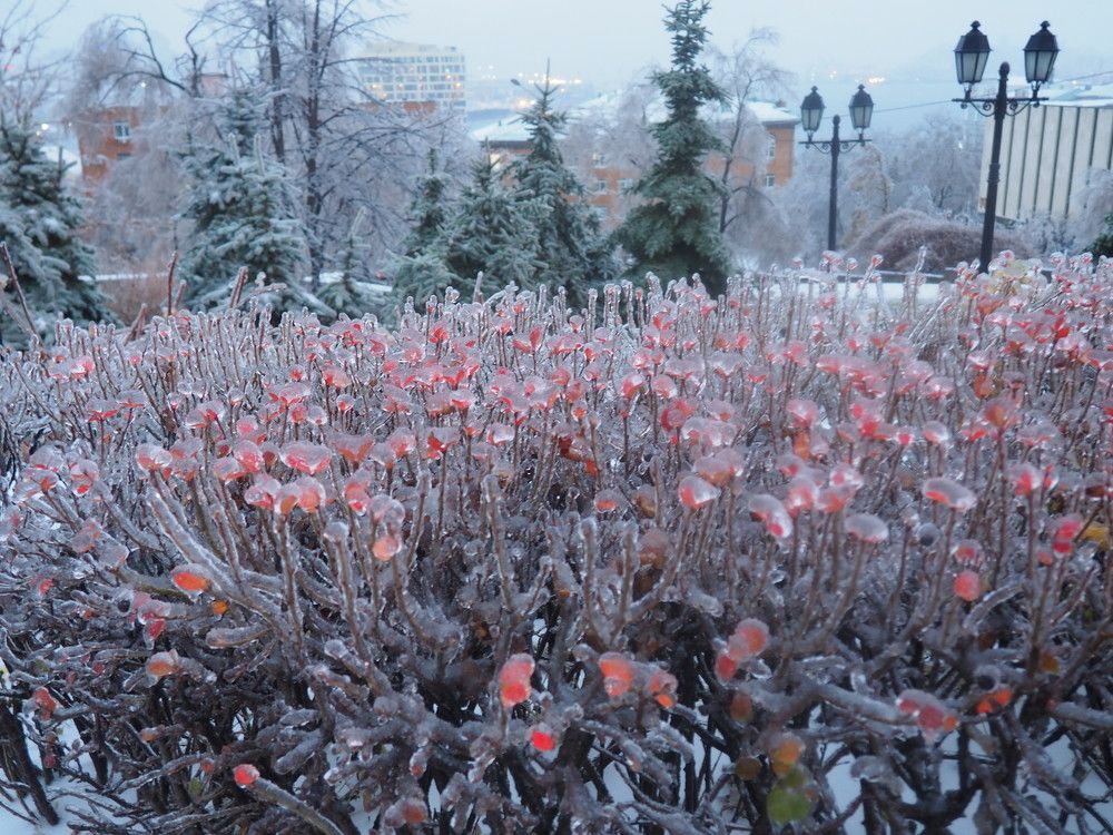 Ледяной парк.