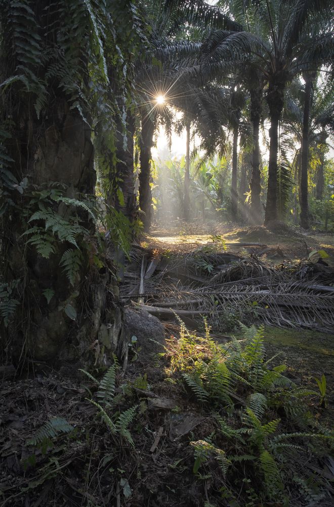 Photograph by SWEE MING YOUNG