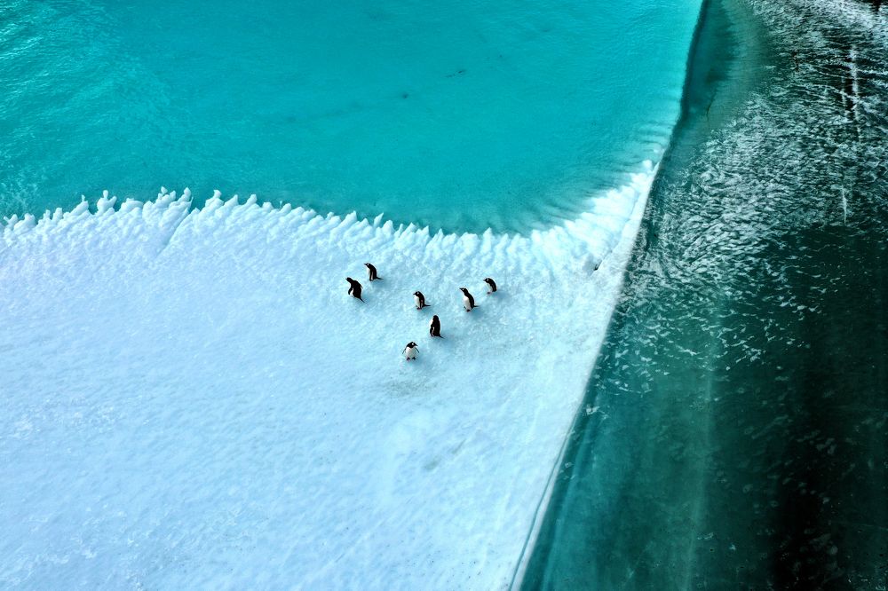 Photograph by Tae Ha Woo