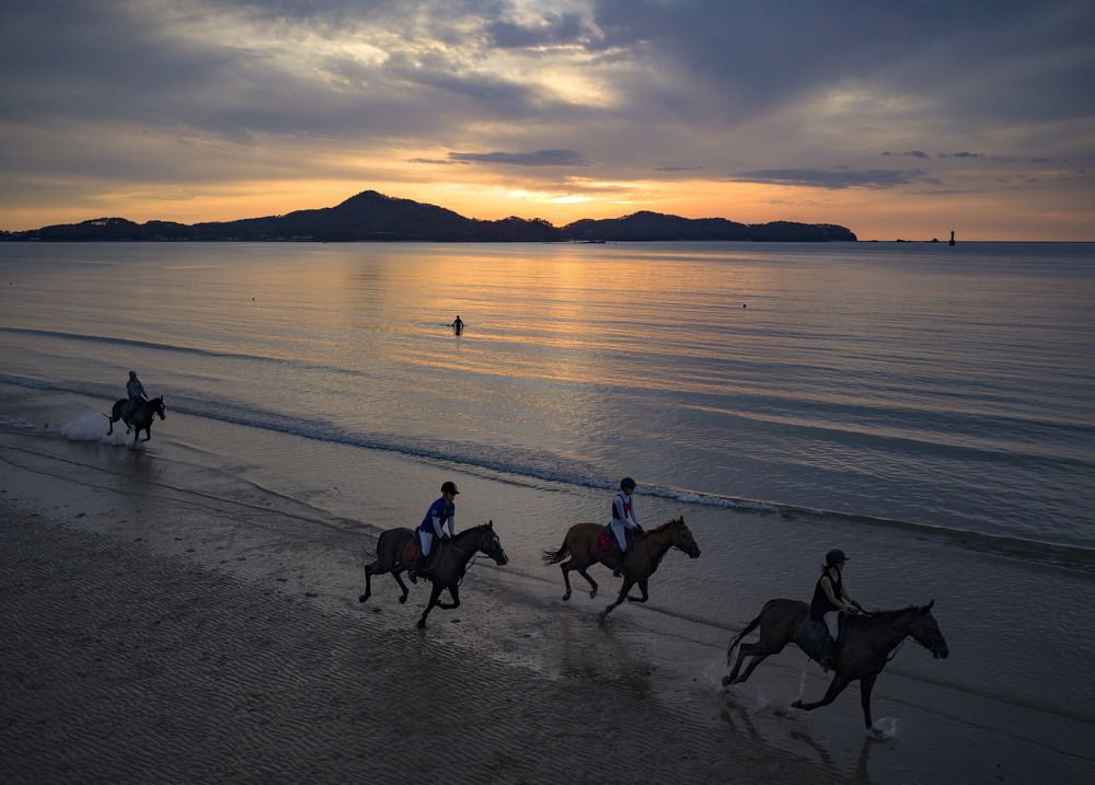 Horse Riding at the beach