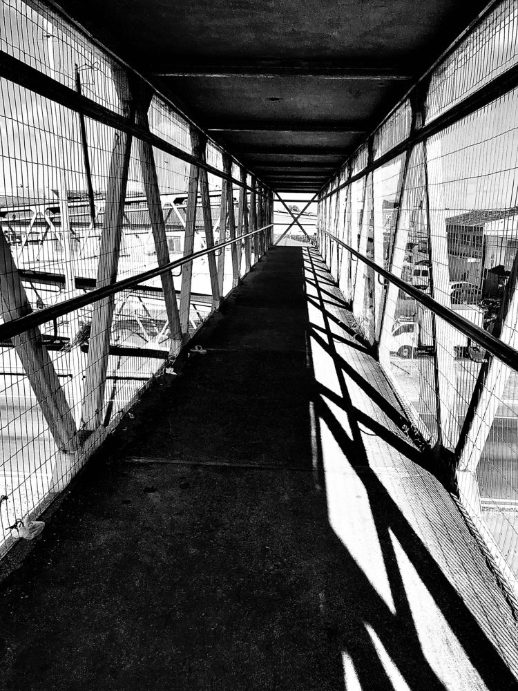 Photograph by Renato Moraes