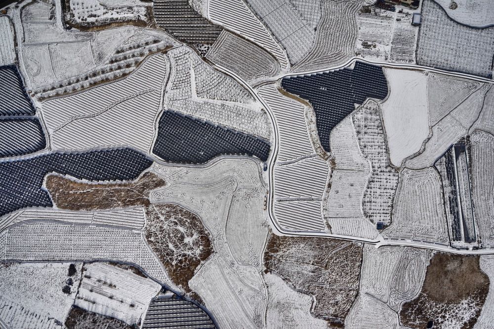 Photograph by Tae Ha Woo