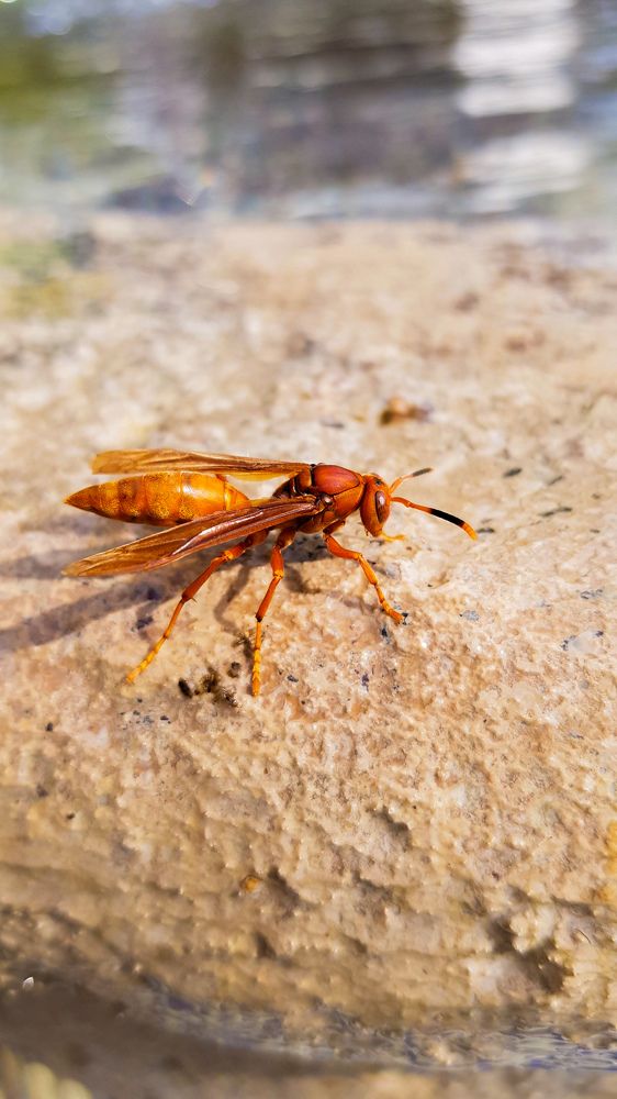 Photograph by Williams Lorenzo