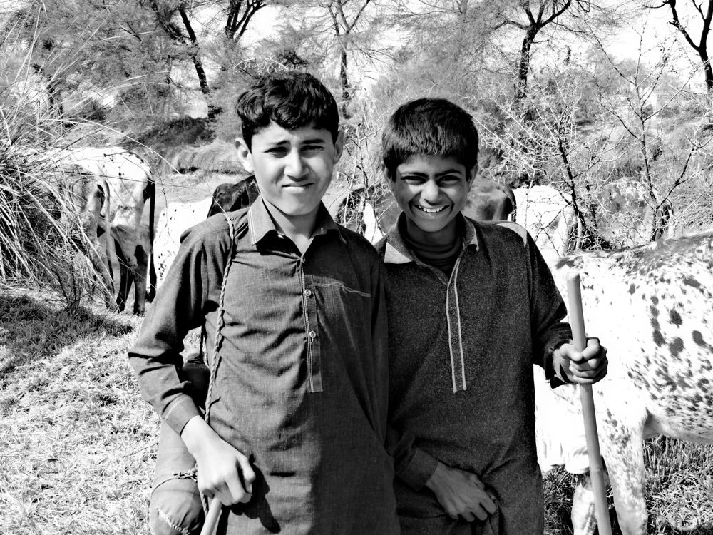 Young Shepherd Partners