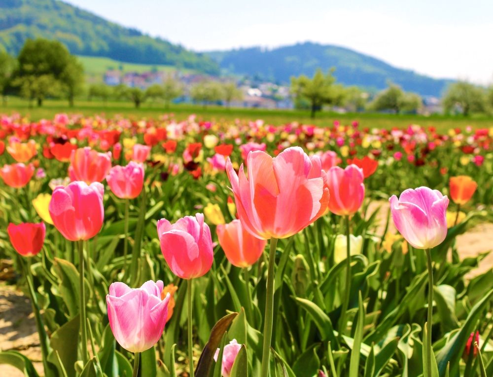 Photograph by Inessa Ismagilova