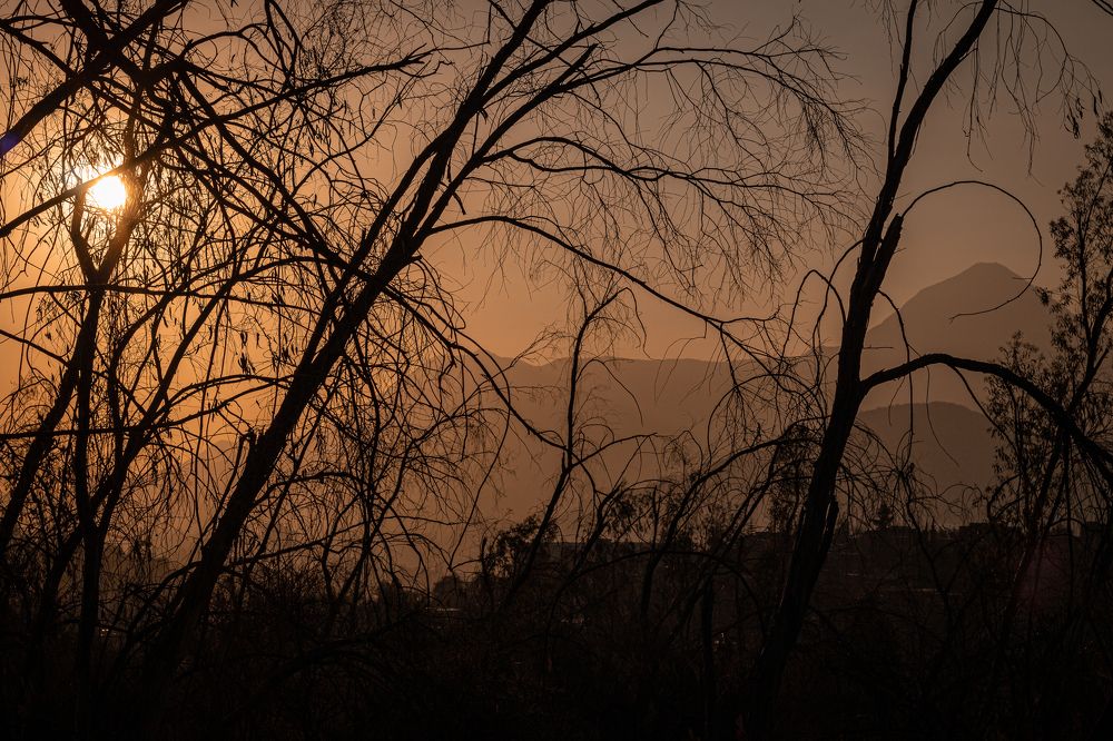 Photograph by Gerardo Morales