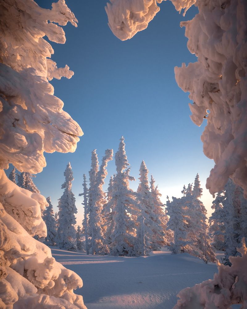 Photograph by Евгений Важенин