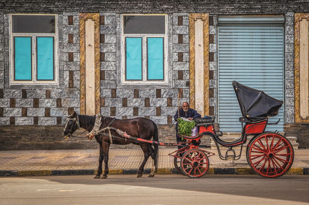 Фотография автора Nasr Khaled