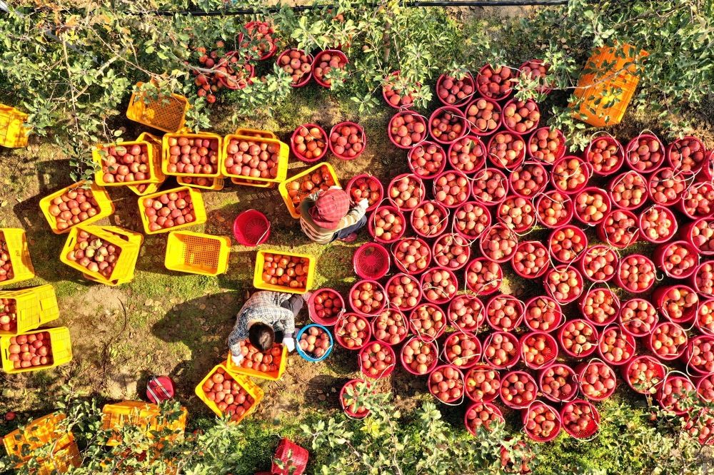 Photograph by Tae Ha Woo