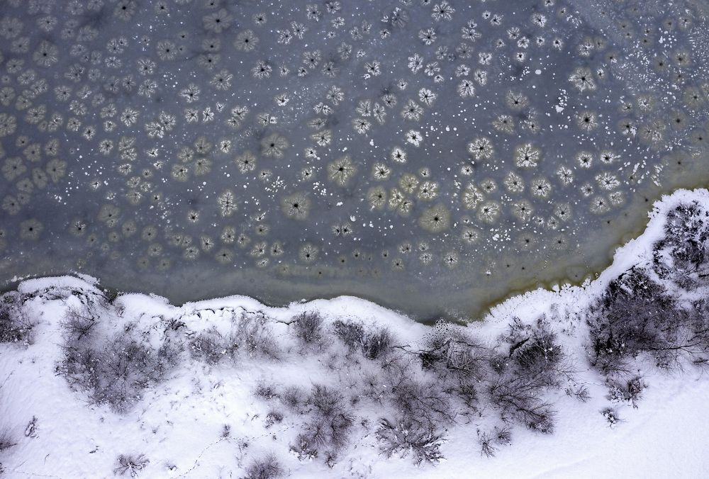 Photograph by Tae Ha Woo