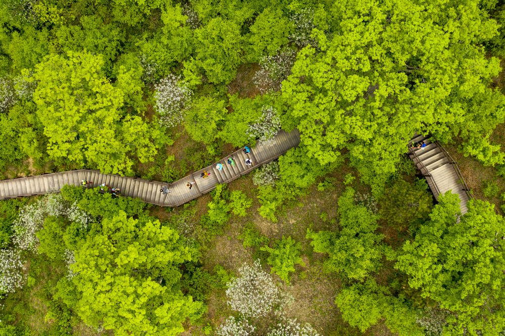 Photograph by Tae Ha Woo