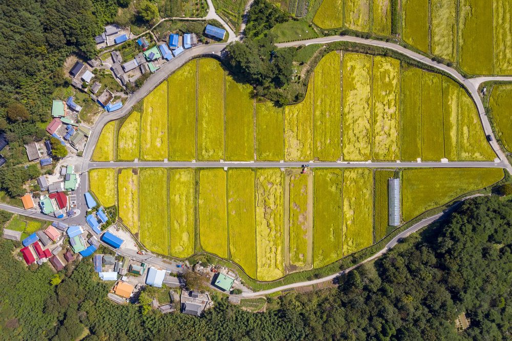 Photograph by Tae Ha Woo