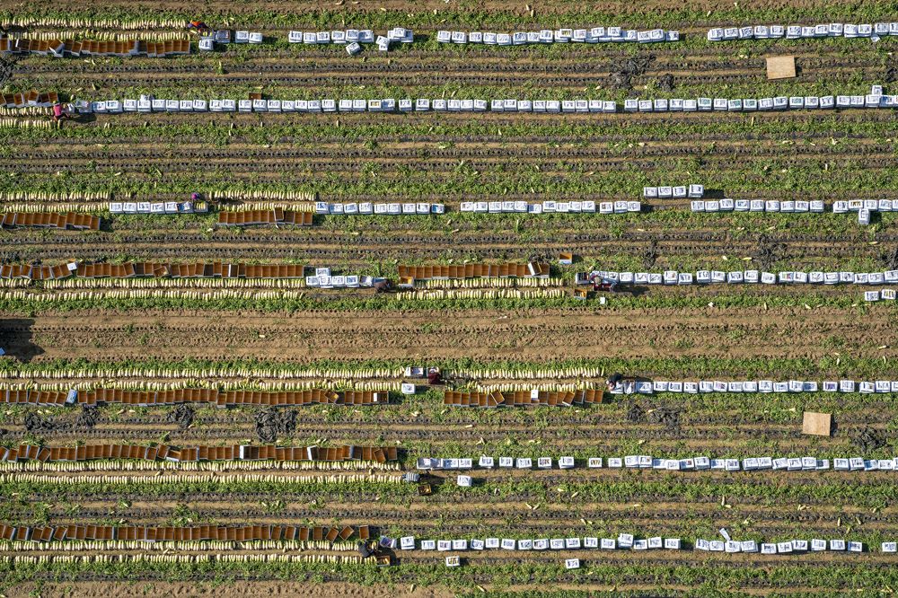 Photograph by Tae Ha Woo