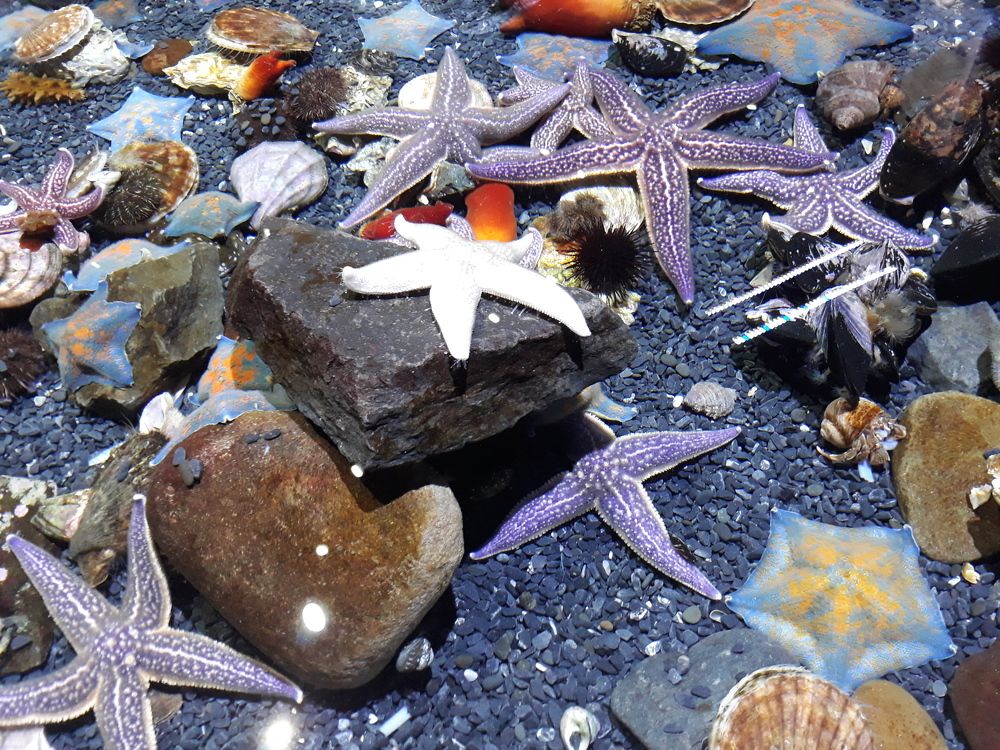 Photograph by Андрей Шахно