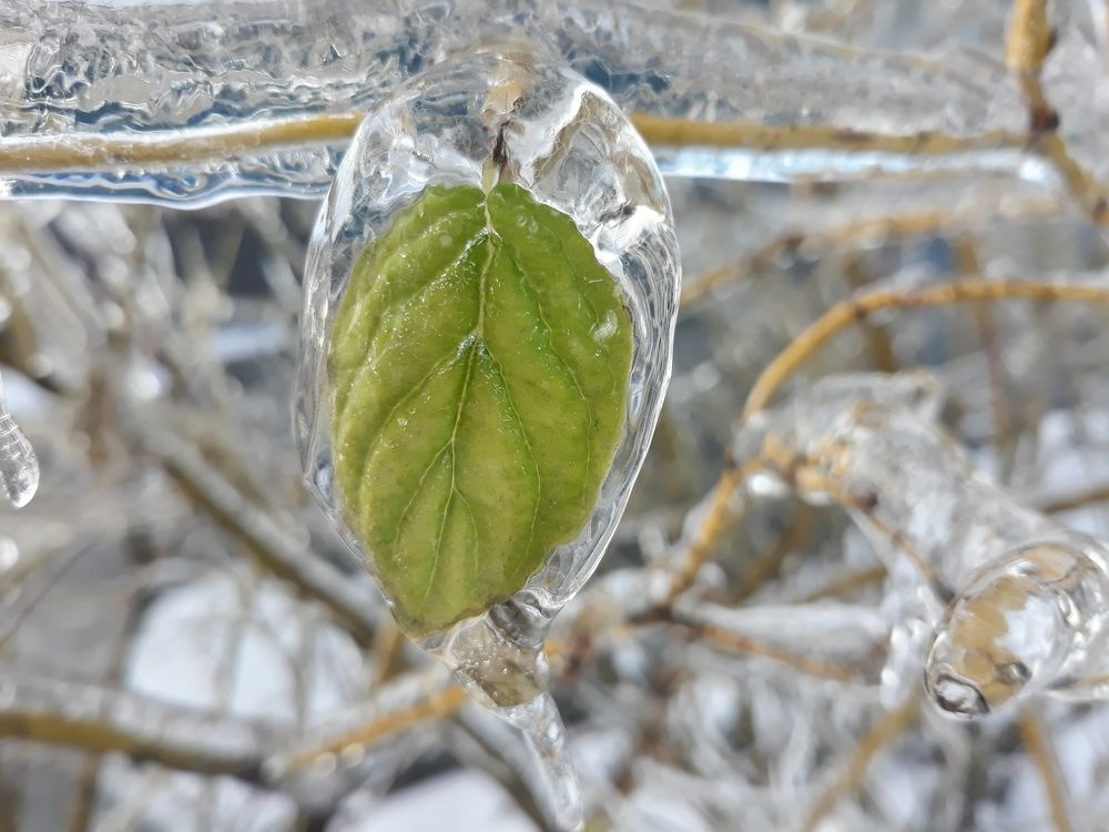 Photograph by Андрей Шахно