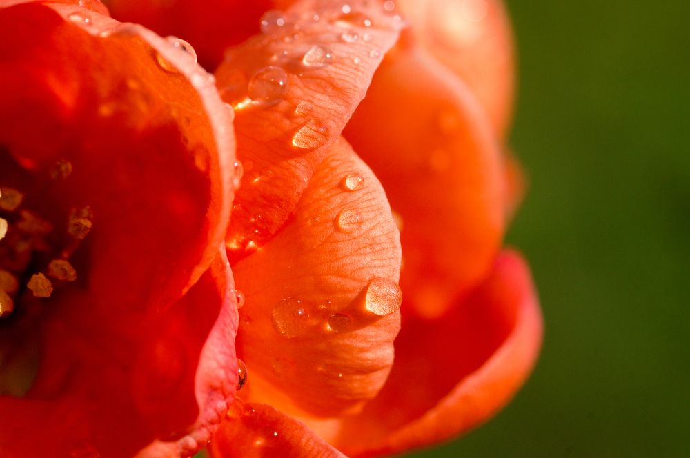 Photograph by Максим Захаров