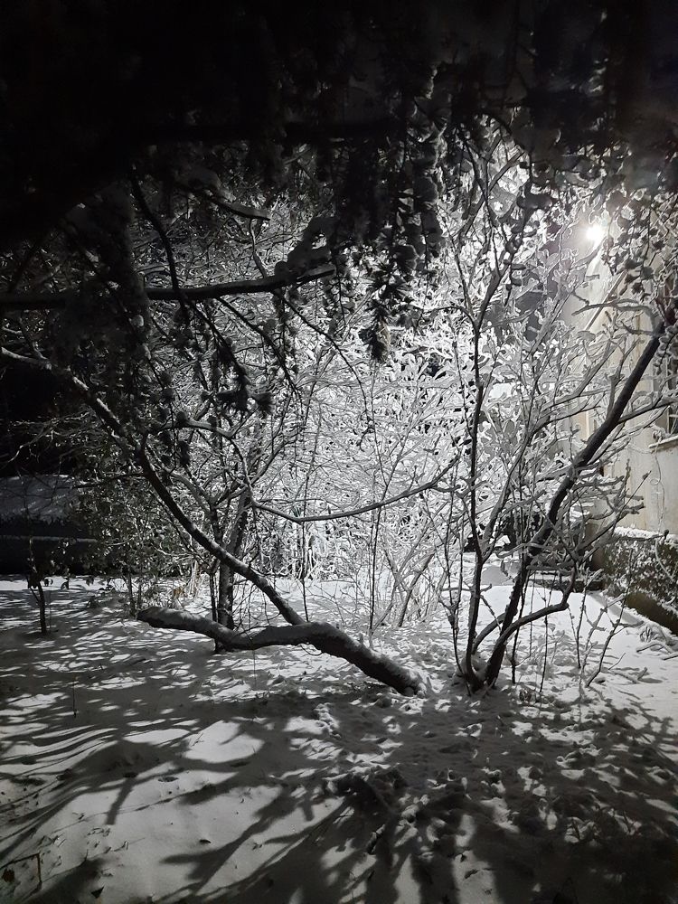 Photograph by Евгений