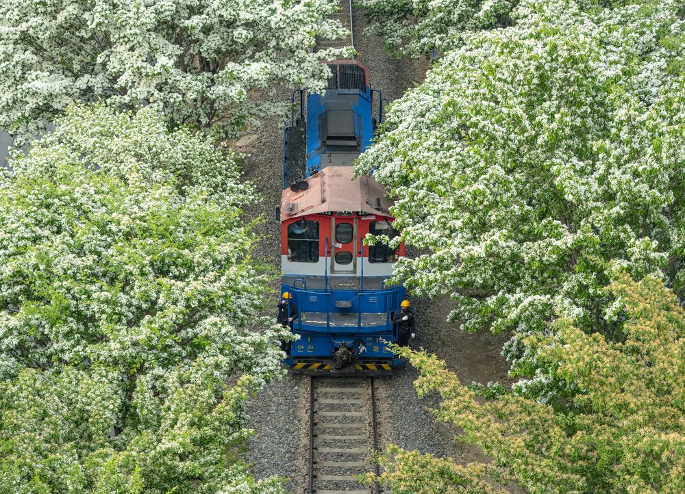 Photograph by Tae Ha Woo