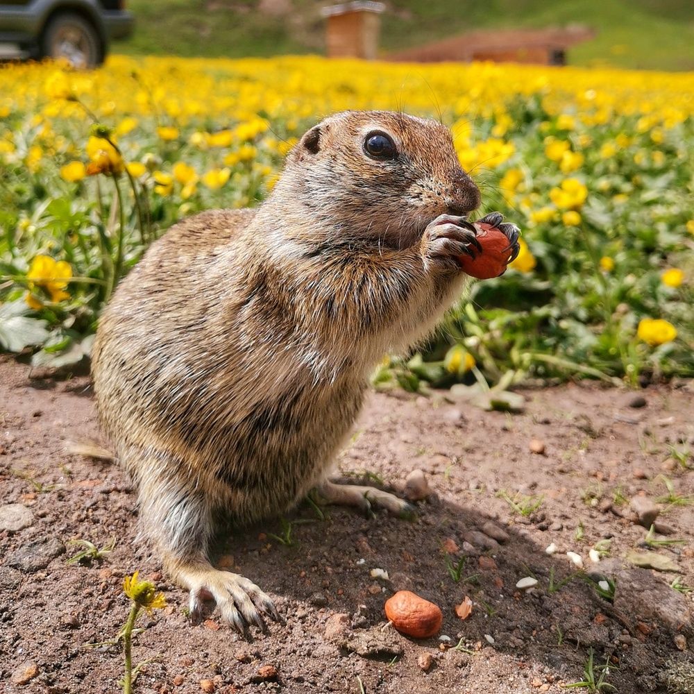Photograph by IRINA Abdrakhmanova