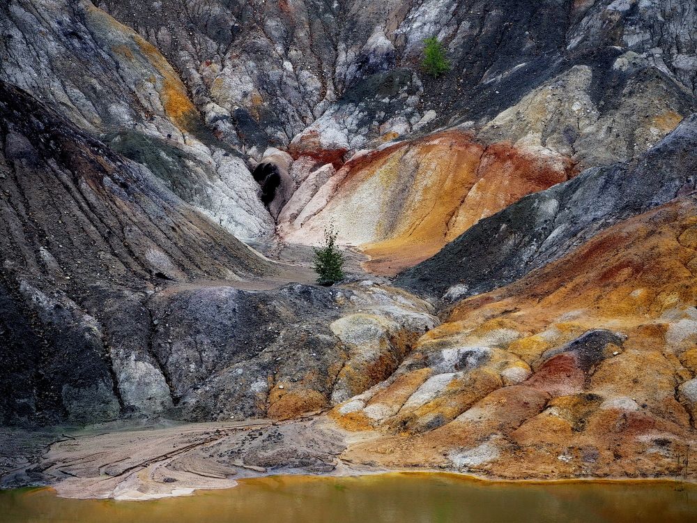 Photograph by Анна Горбач