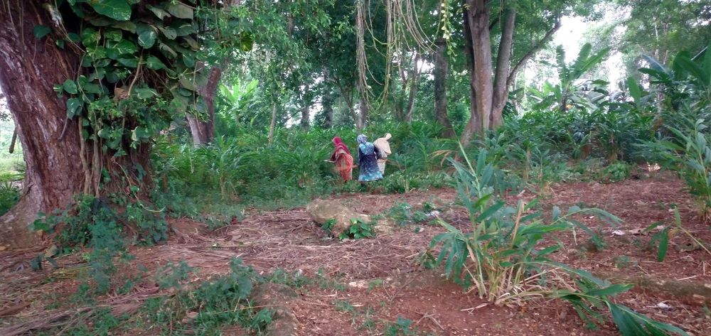 Photograph by Сергей Лисевич