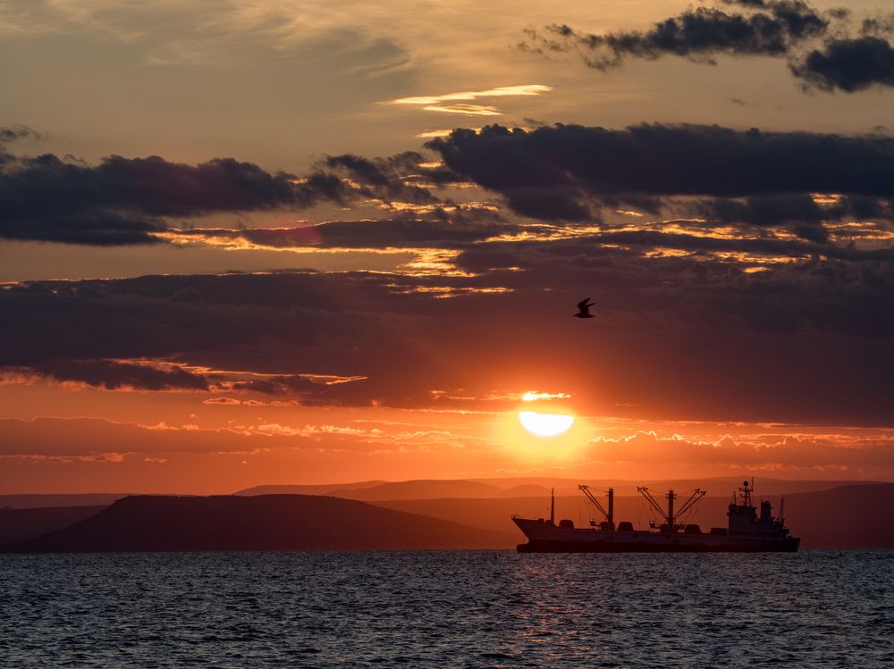 Photograph by Матвей Матвеев