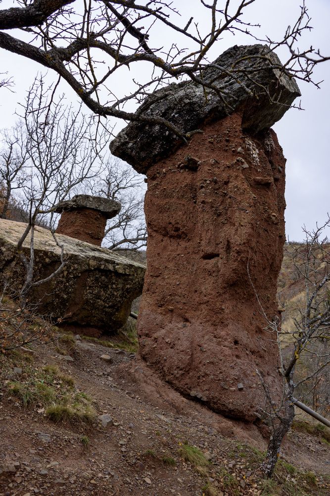 Photograph by Будаква Сергей