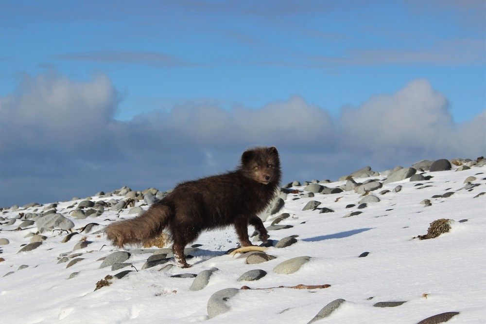 Photograph by Анжела Смирнова