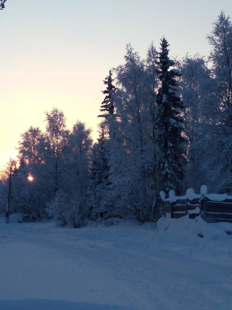 Photograph by Нина Гирнык