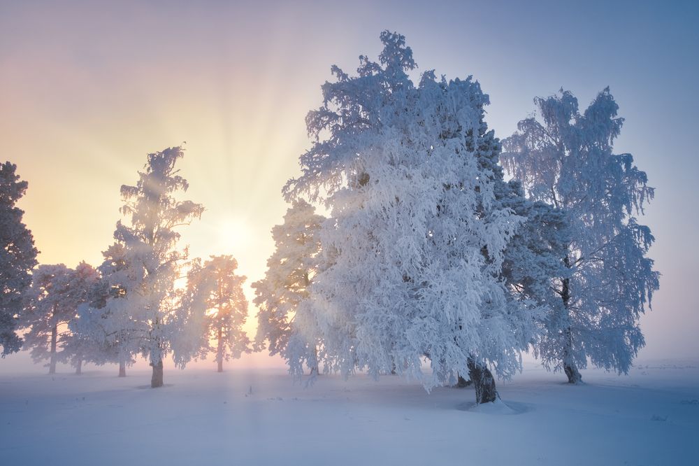 Холодное солнце.