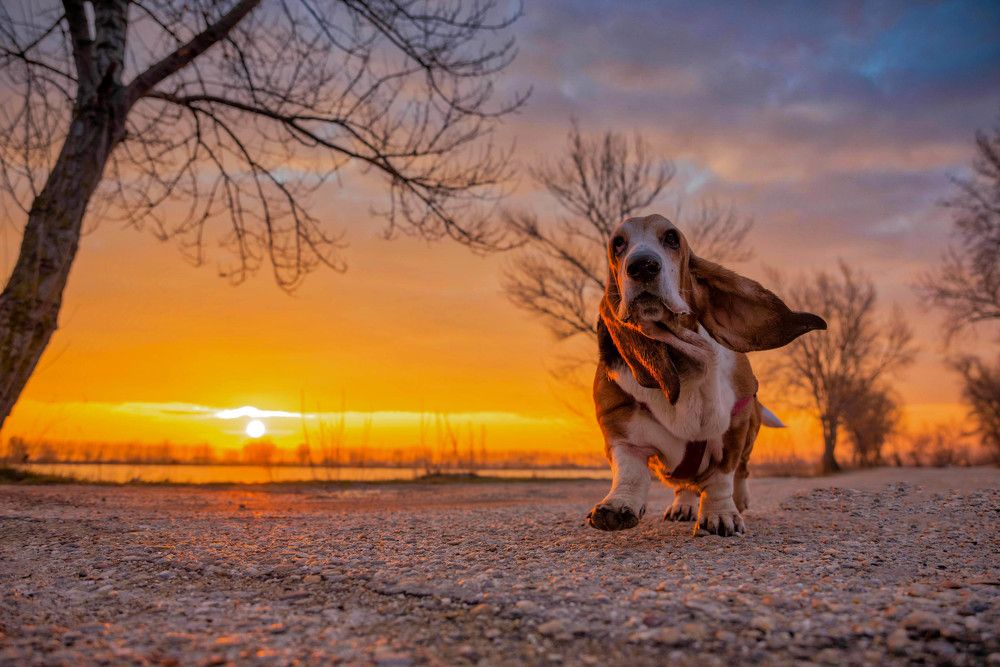 Photograph by Michal