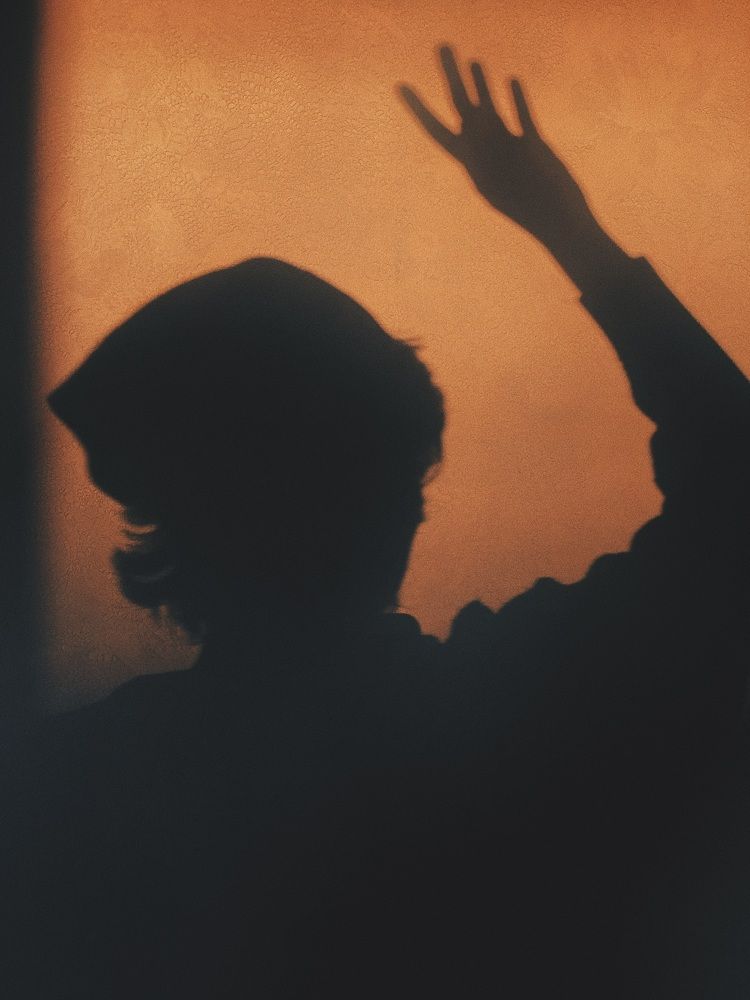 Дама на закате