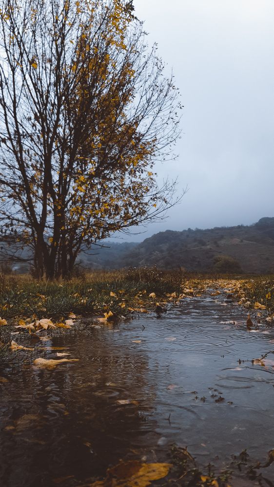 Photograph by Олег Абрамов