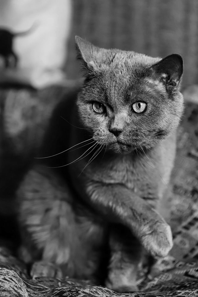 Photograph by Константин Лагоденко