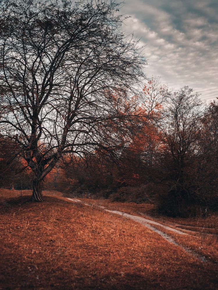 Photograph by Олег Абрамов