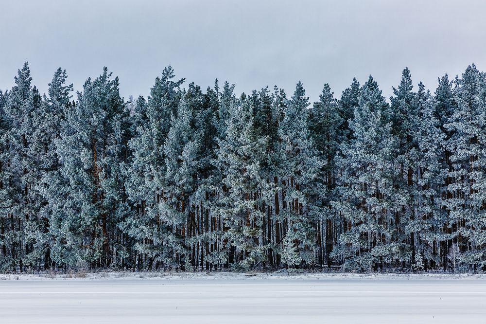 Photograph by Иван Логинов