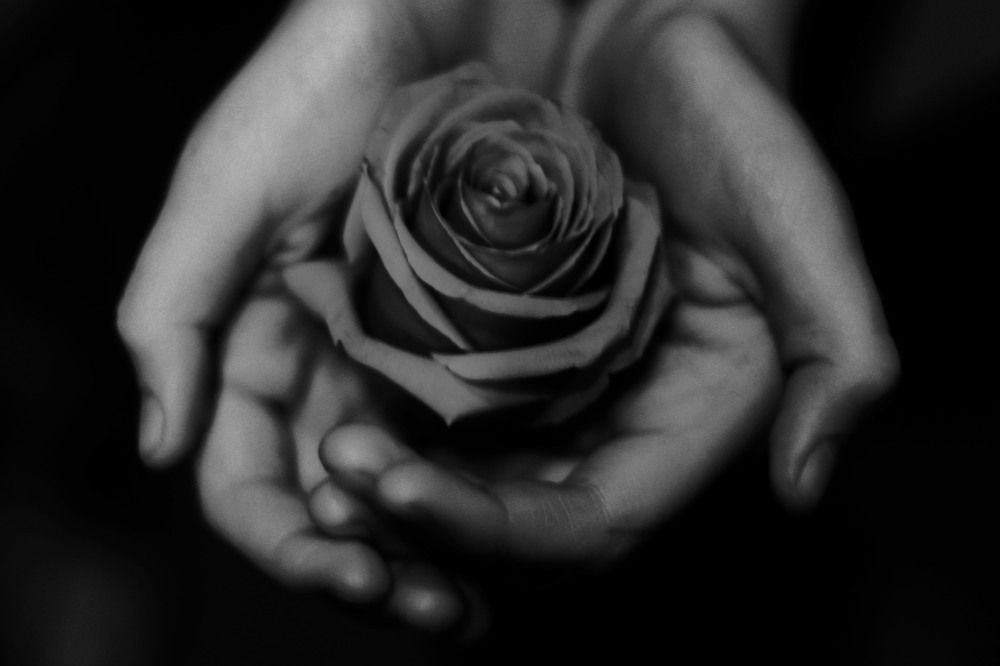 Photograph by Любовь Тарасюк