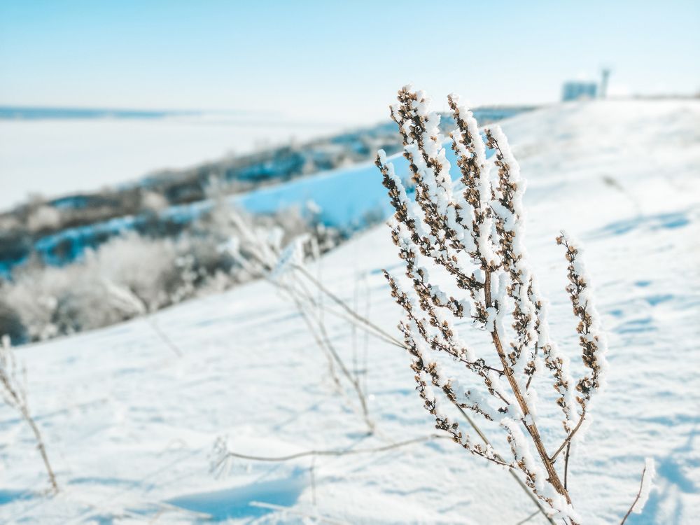 Photograph by Екатерина Васильева