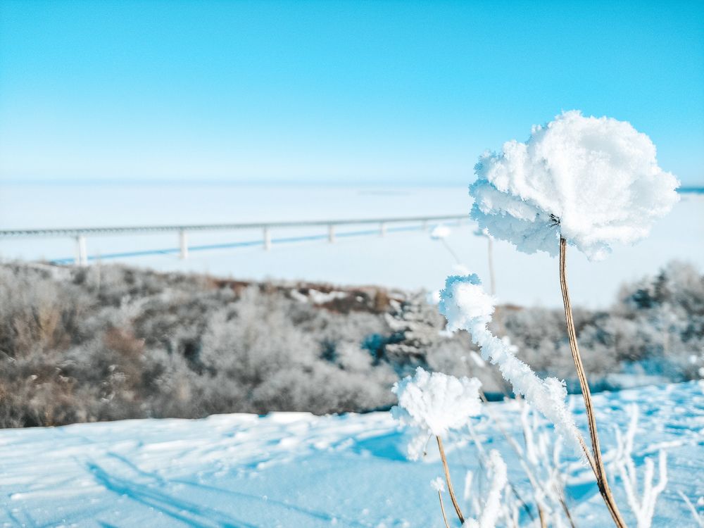 Photograph by Екатерина Васильева