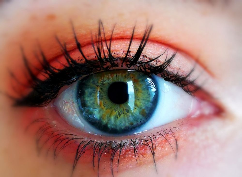 Photograph by Елена Артёменко