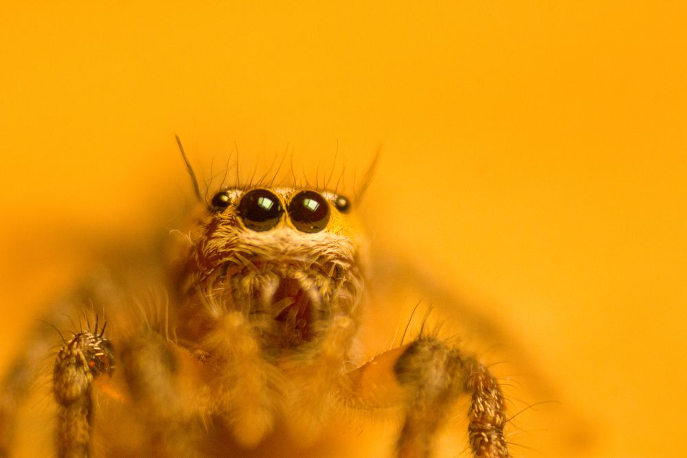 Photograph by Samarth Shrivastav