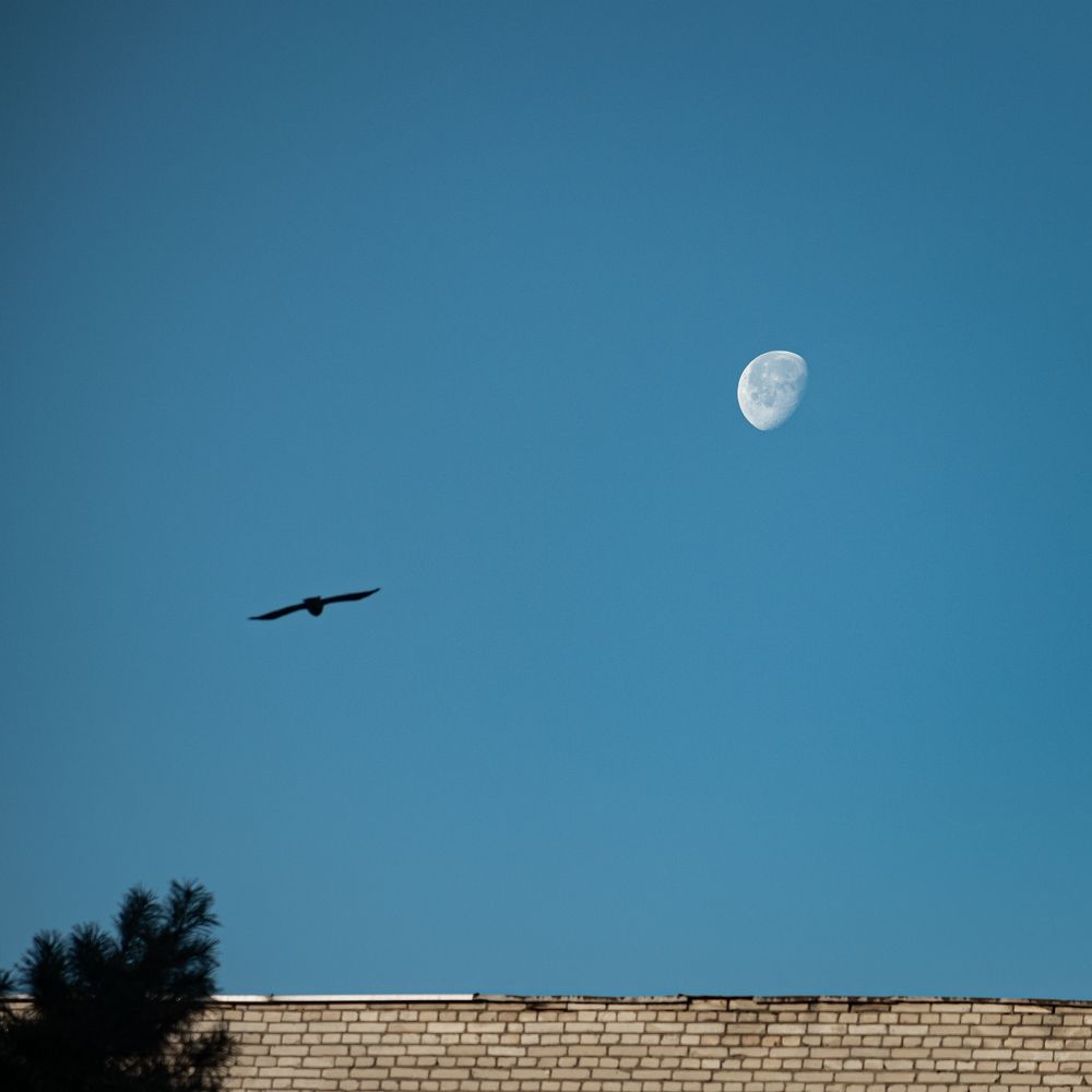 Photograph by Антон Щелкунов