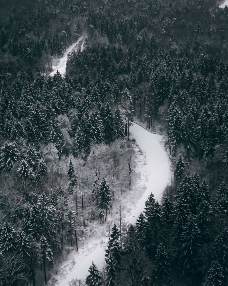 Photograph by Владислав Новоселов